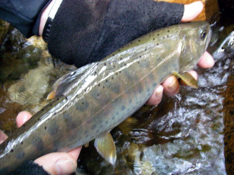 師匠の手で記念撮影(ピンボケ詫)